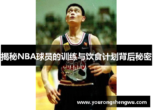 揭秘NBA球员的训练与饮食计划背后秘密