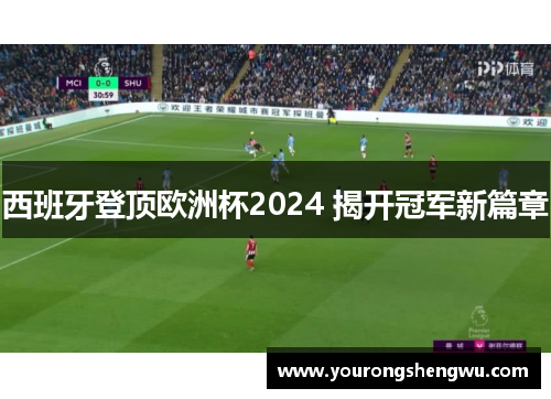 西班牙登顶欧洲杯2024 揭开冠军新篇章